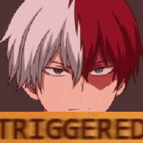 Todoroki Triggered GIF