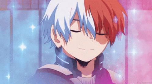 Todoroki GIF