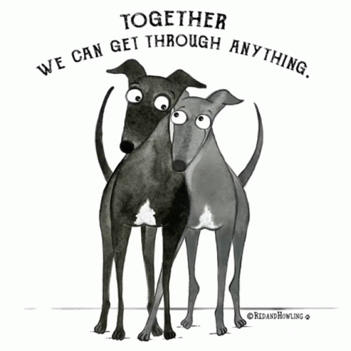 Together Dogs GIF