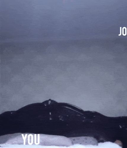Toko John Cena GIF