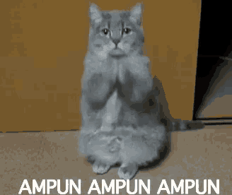 Tolong Ampun GIF