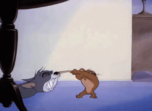 Tom And Jerry Slammed GIF