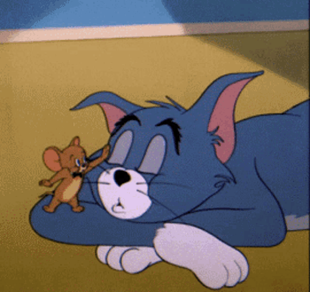 Tom And Jerry GIF