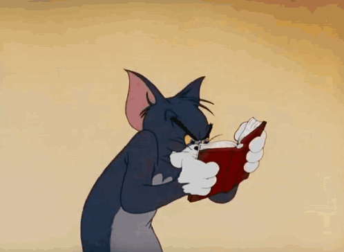 Tom Cat Tom And Jerry GIF