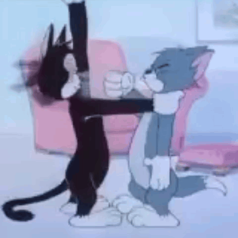 Tom Cat Tom The Cat GIF