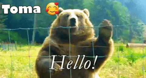 Tomamow Mato GIF. This 480 x 256 animated GIF is part of our bear waving collection. Created by MatoMow. View the original animation, share it, or browse…