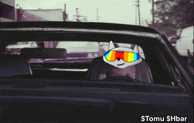 Tomu Hbar GIF