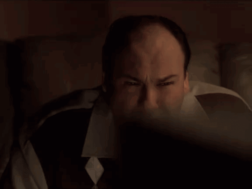 Tony Soprano GIF