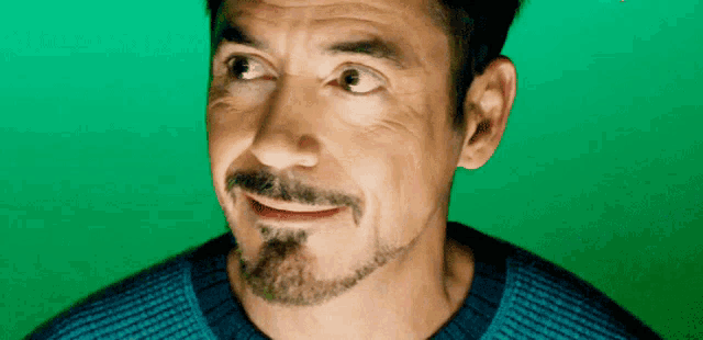 Tony Stark Robert Downey Junior GIF