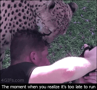 Too Late Too Late To Run GIF