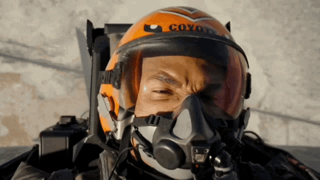 Top Gun Coyote GIF