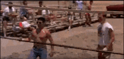 Top Gun Top Gun Maverick GIF