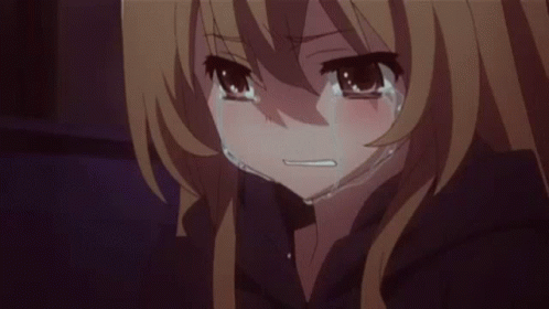 Toradora GIF