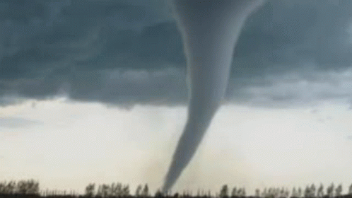 Tornado GIF. This 498 x 280 animated GIF is part of our tornado collection. Created by Tornadoguy183. View the original animation, share it, or browse…