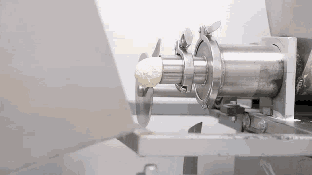 Tortilla GIF