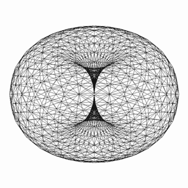 Torus Flower GIF