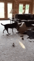 Tough Box GIF