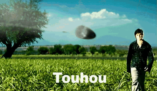 Touhou Meme GIF