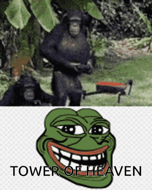 Tower Of Heaven Monkeys GIF