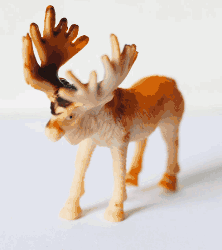 Toys Momo'S Toys GIF