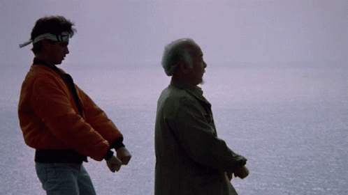 Training Mr Miyagi GIF
