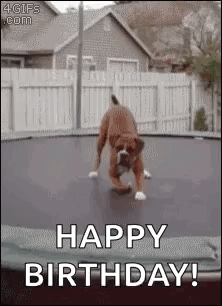 Trampoline Play GIF