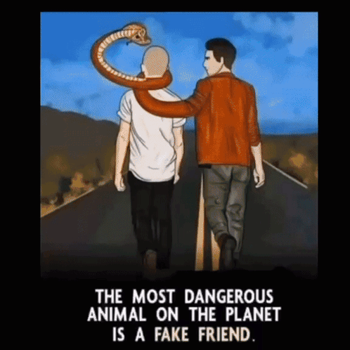 Tranduc28 GIF
