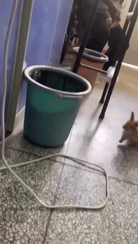 Trash Trash Can GIF