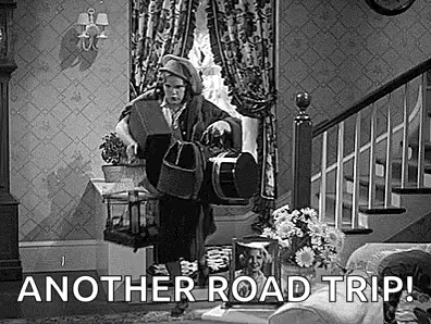 Travel Late GIF