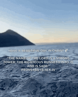 Travel Vacation GIF