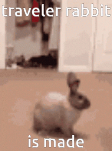 Traveler Cute GIF