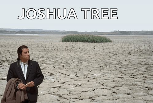 Travolta Desert GIF