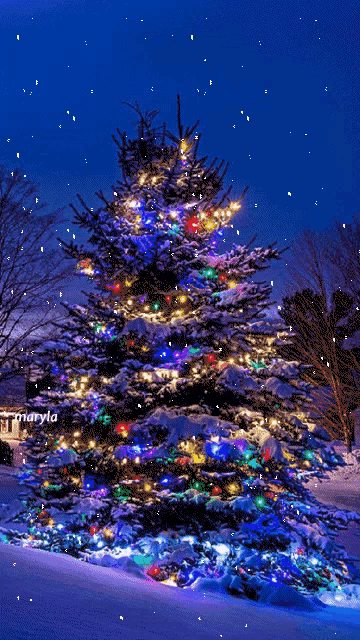 Tree Lights Tree GIF
