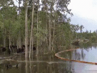 Trees Falling GIF. This 320 x 240 animated GIF is part of our sinkhole collection. Related themes include water. Created by 1465ub. View the original…