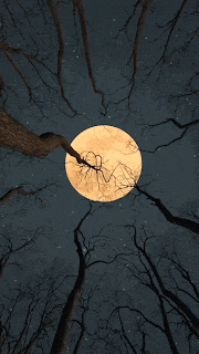 Trees Full GIF