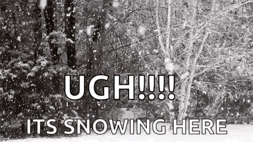 Trees Snowing Here GIF