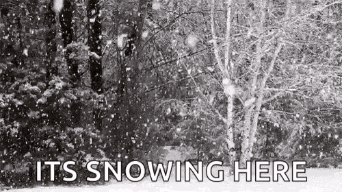 Trees Snowing Here GIF