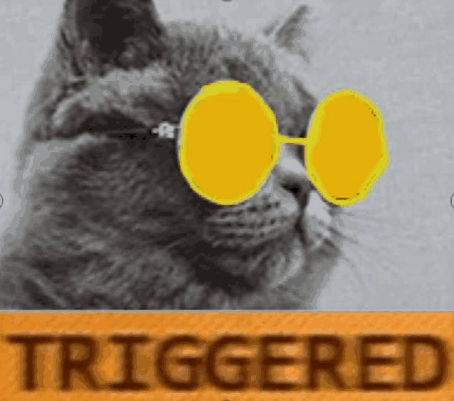 Trigger Triggered Meme