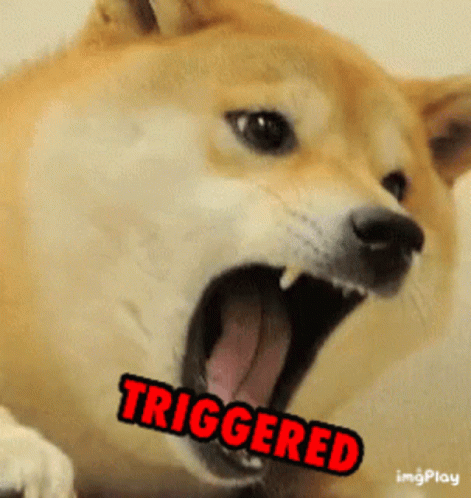 Triggered Dogememe GIF