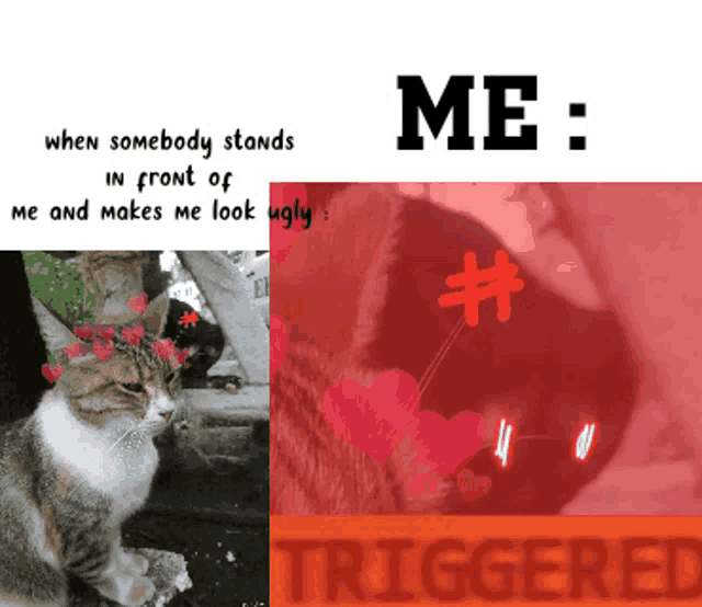 Triggered Follow Meme