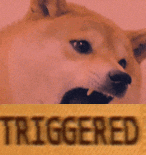 Triggered GIF