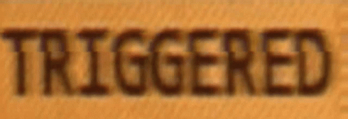 Triggered Meme GIF