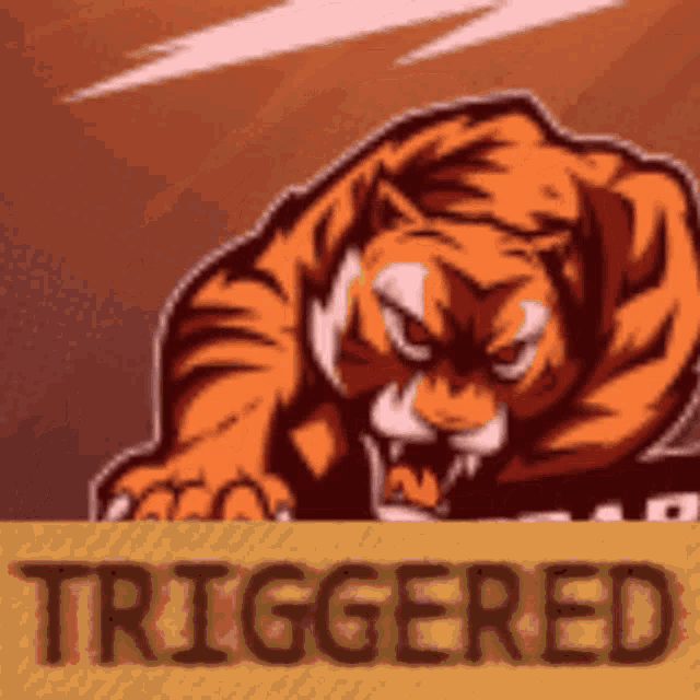 Triggered GIF