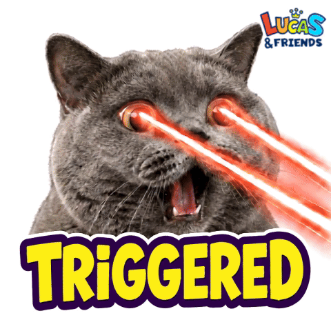 Triggered Triggered Cat GIF