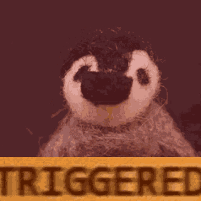 Triggered GIF