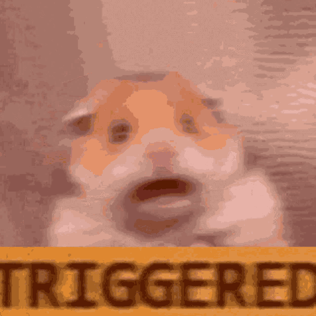 Triggered GIF