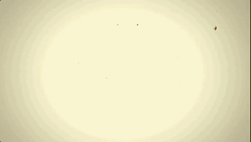 Trinity Bomb Nuclear Weapon GIF