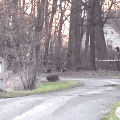 Trip Toads Toad Rally GIF
