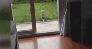 Trip GIF