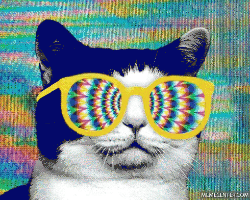 Trippy Cat GIF